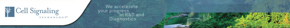 Bioke.com Solutions for Life Sciences